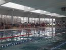 Schwimmmeisterschaften  5 